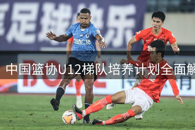 中国篮协U12梯队培养计划全面解析
